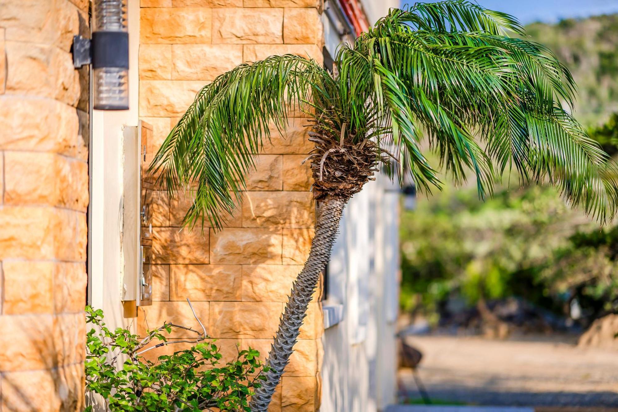 Southern Sun Homestay North Kenting Exterior foto